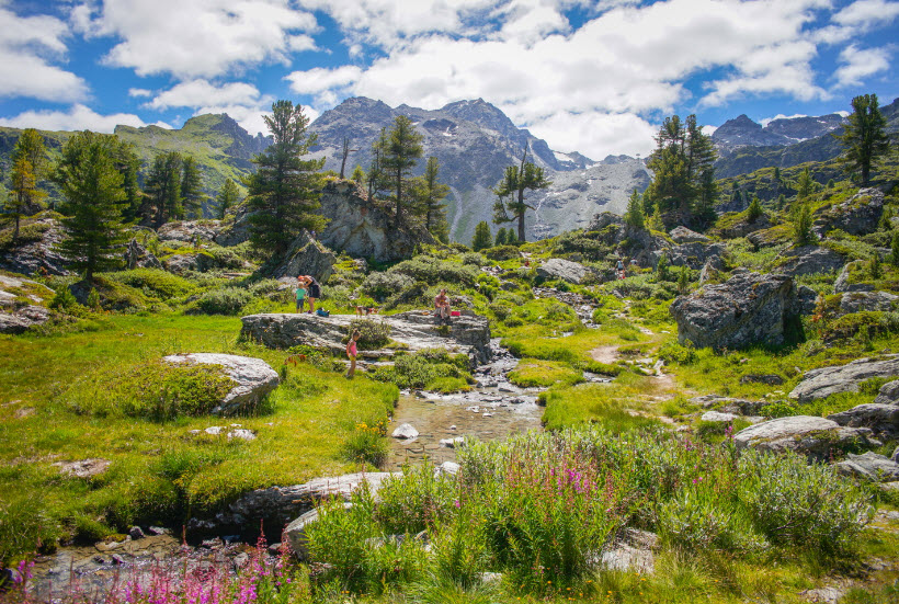 Alpin Flore-Alpe Botanical Garden, Orsières, Switzerland, Switzerland